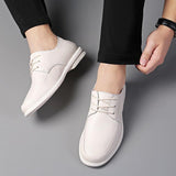 Business Dress Casual Leather Shoes Men's Korean Fashion British Youth Soft Leather Pointed Black Inner Height